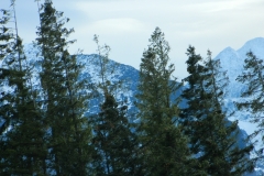 DSCN4603