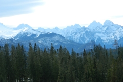 DSCN4608