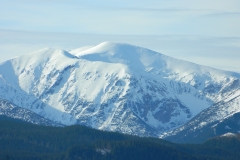 DSCN4612